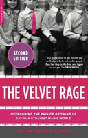 Alan Downs - The Velvet Rage artwork