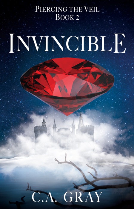 Invincible: Piercing the Veil, Book 2