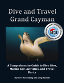 Dive and Travel Grand Cayman - Steve Rosenberg & Greg Bassett