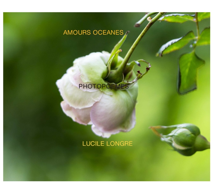 Amours océanes