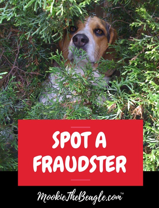 MOOKIETHEBEAGLE.COM SPOT A FRAUDSTER