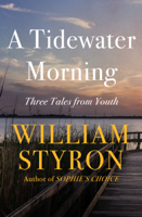 William Styron - A Tidewater Morning artwork
