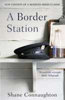 Shane Connaughton - A Border Station artwork