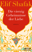 Die vierzig Geheimnisse der Liebe - Elif Shafak & Michaela Grabinger