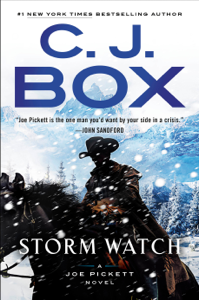 Storm Watch Book Cover