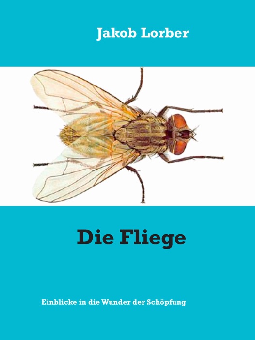 Die Fliege