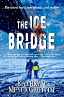 Kathryn Meyer Griffith - The Ice Bridge artwork