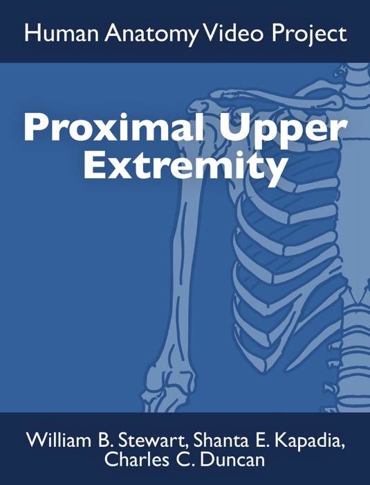 Proximal Upper Extremity