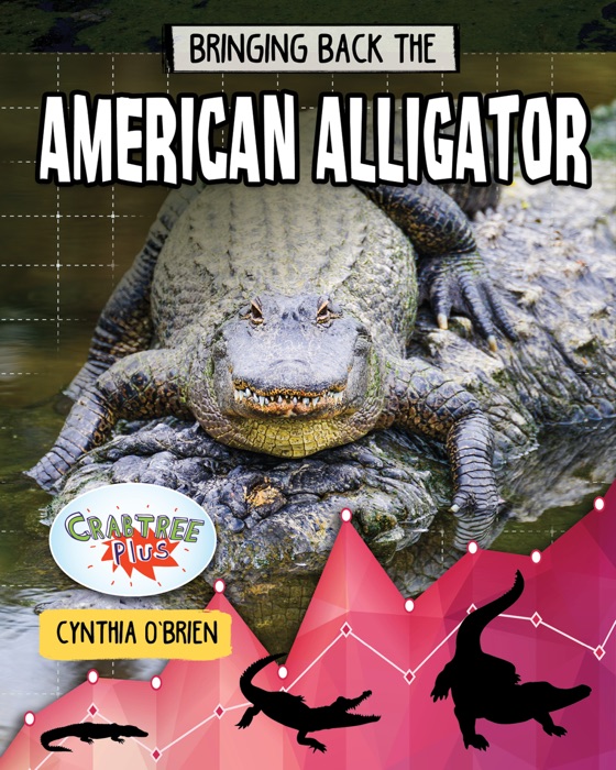 Bringing Back the American Alligator