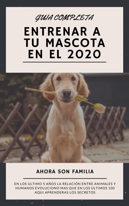 Guía Completa; Como Entrenar a Tu Mascota en el 2020