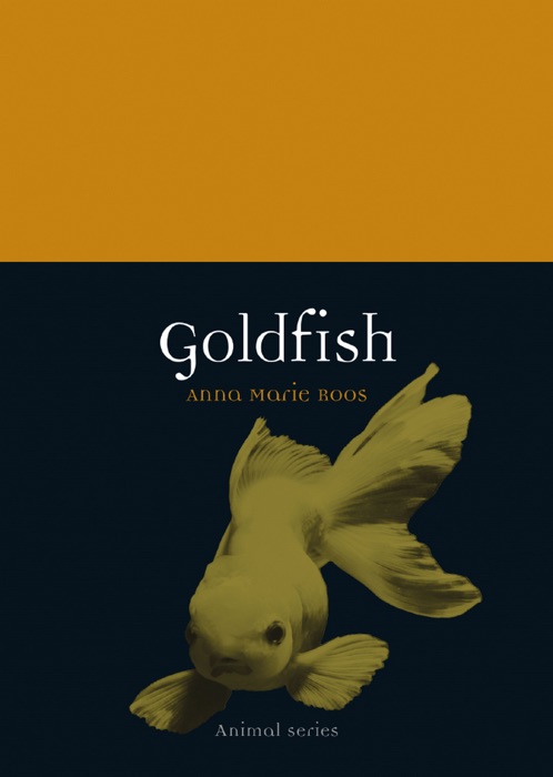 Goldfish