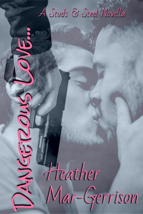 Dangerous Love (A Studs & Steel Novella, Studs & Steel #5.5)