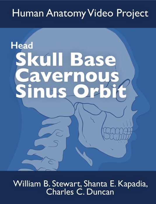 Skull Base Cavernous Sinus Orbit