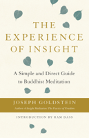 Joseph Goldstein - The Experience of Insight artwork