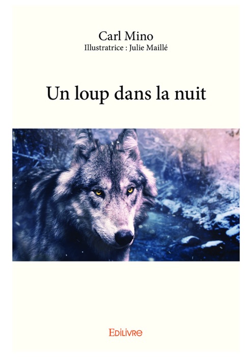 Un loup dans la nuit