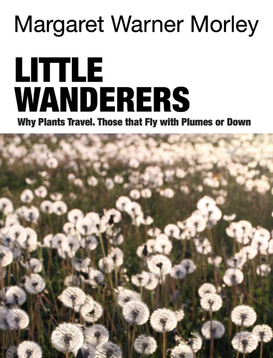 Little Wanderers. Why Plants Travel