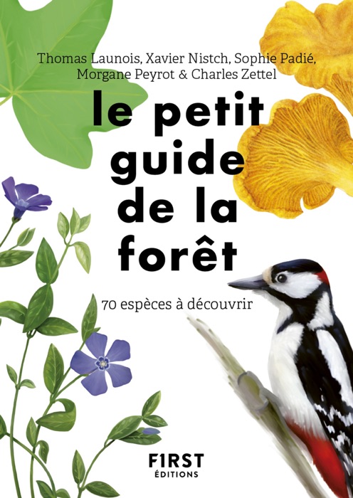 Le petit guide de la forêt