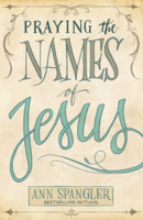 Ann Spangler - Praying the Names of Jesus artwork