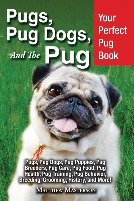 Pugs, Pug Dogs, and The Pug