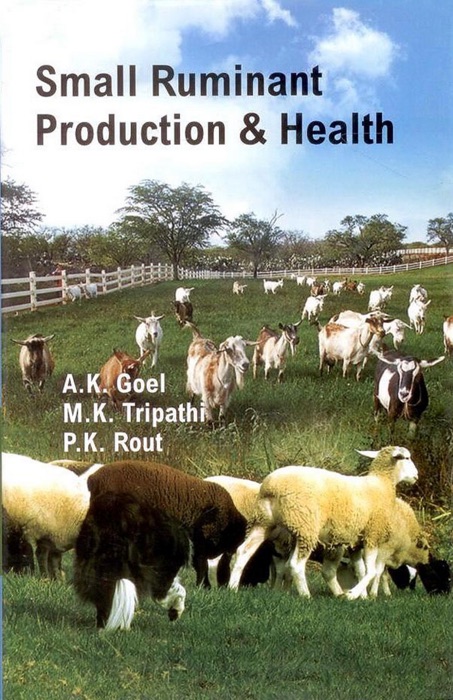 Small Ruminant Production and Health