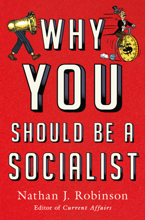 Read & Download Why You Should Be a Socialist Book by Nathan J. Robinson Online