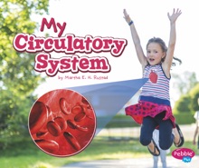 My Circulatory System