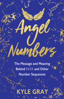 Kyle Gray - Angel Numbers artwork