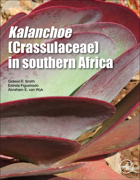 Kalanchoe (Crassulaceae) in Southern Africa (Enhanced Edition)