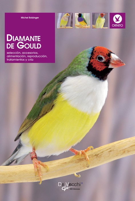 Diamante de Gould