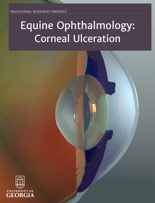 Equine Ophthalmology: Corneal Ulceration