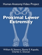 Proximal Lower Extremity Proximal Lower Extremity