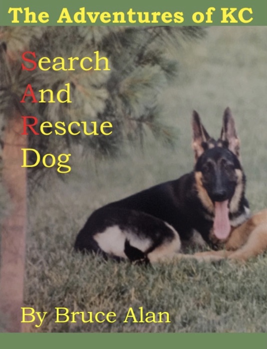 KC - Search And Rescue Dog