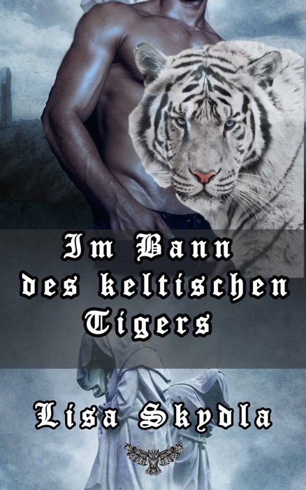 Im Bann des keltischen Tigers