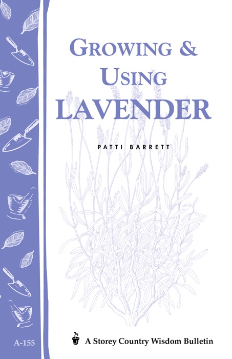 Growing & Using Lavender