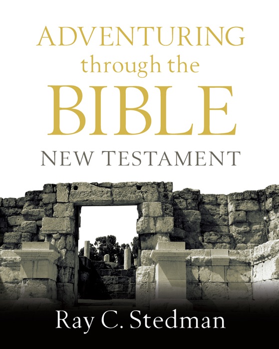 Adventuring Through the Bible: New Testament