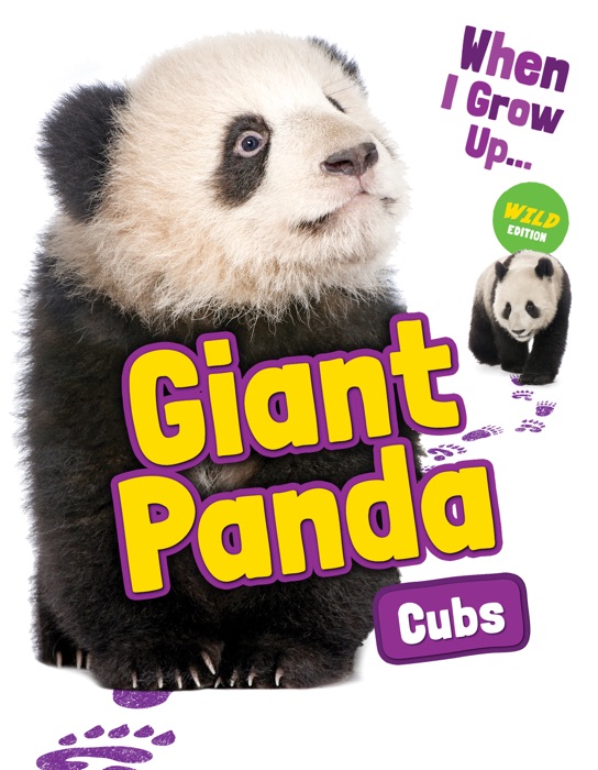 Giant Panda Cubs