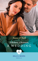Annie O'Neil - A Return, A Reunion, A Wedding artwork