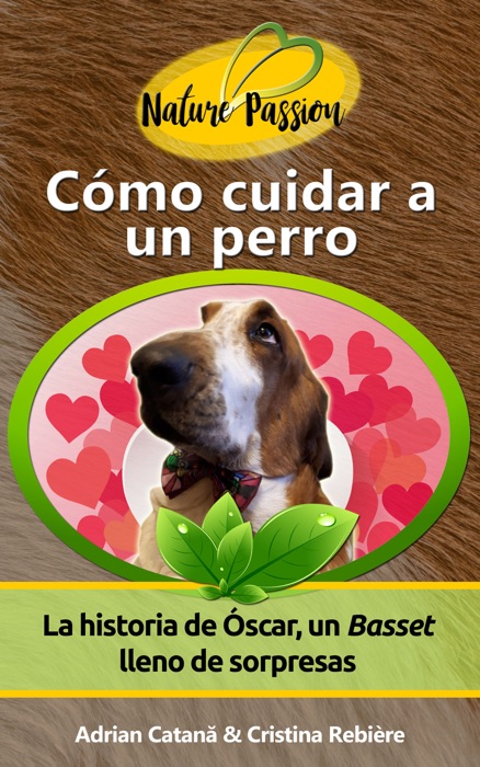 Cómo cuidar a un perro