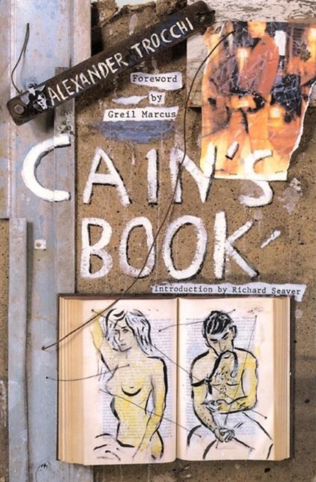 Cain's Book