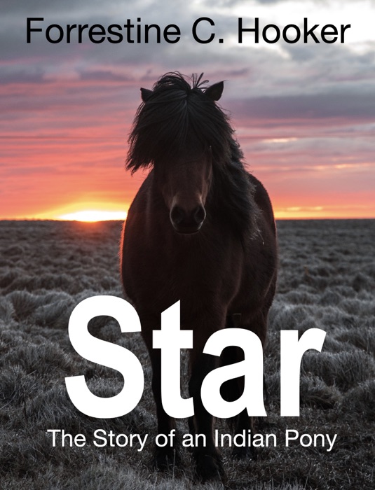 Star. The Story of an Indian Pony