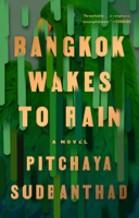 Pitchaya Sudbanthad - Bangkok Wakes to Rain artwork