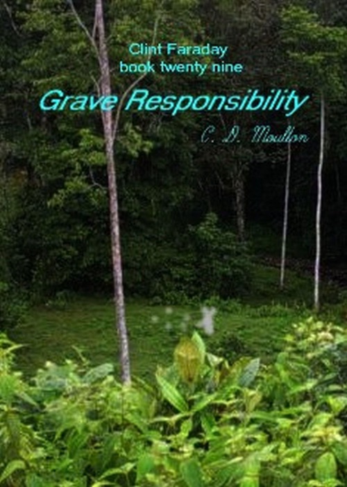 Clint Faraday Mysteries Book Twenty Nine: Grave Responsibility