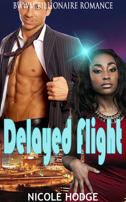 Delayed Flight:  BWWM Billionaire Romance