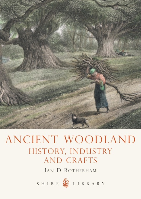 Ancient Woodland