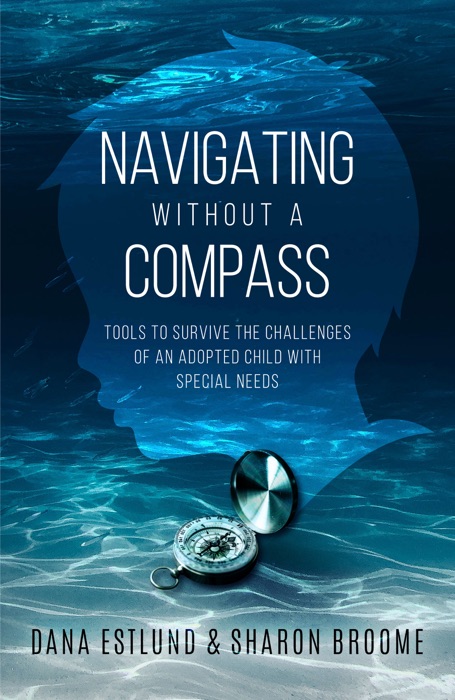 Navigating Without a Compass: Tools to Survive the Challenges of an Adopted Child with Special Needs