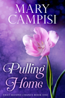 Mary Campisi - Pulling Home artwork