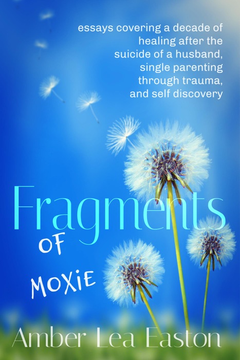 Fragments of Moxie