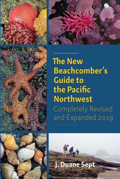 The Beachcomber's Guide to Seashore Life in the Pacific Northwest