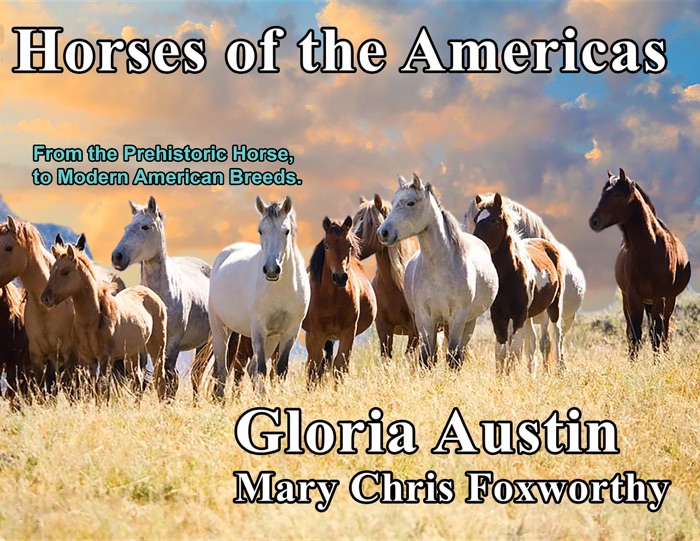 Horses of the Americas