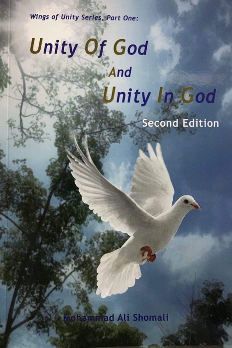 Unity of God and Unity in God